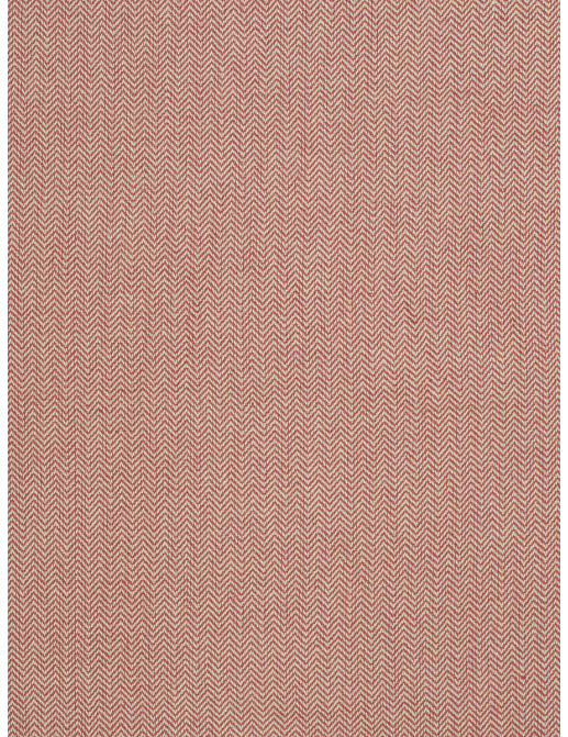 Ткань Trend Blush Punch Prints & Wovens Vol.III 02622/Redbud
