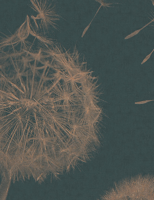 Панно и фотообои Italreflexes Macro Taraxacum-003/Copper