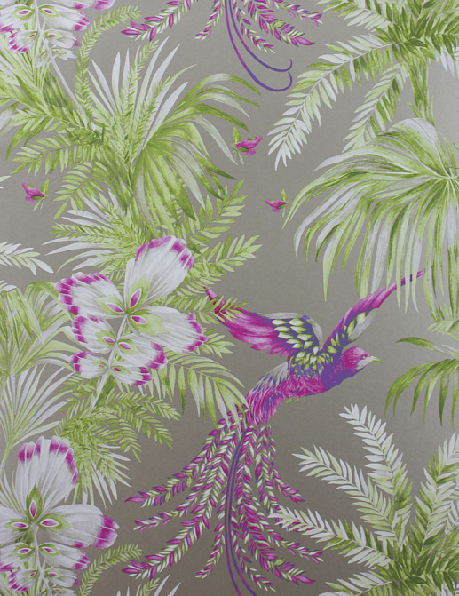 Обои Matthew Williamson Samana W6655-03