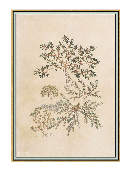 Панно и фотообои Iksel Scenic & Architectural Wallpapers Renaissance Herbier RH27