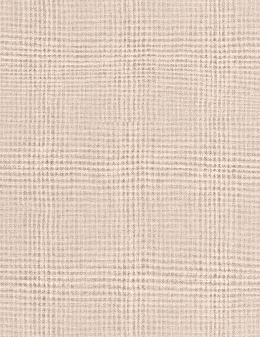 Обои Caselio Jute JTE104011807