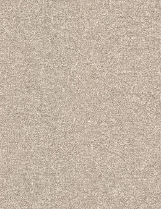 Обои Rasch Composition XL 973631