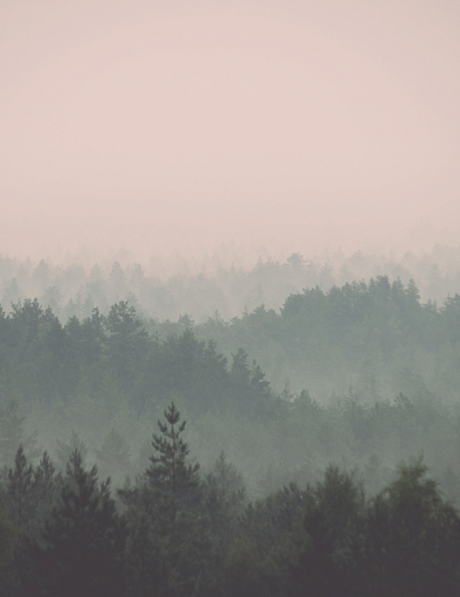 Панно и фотообои Hygge Wall Collection 3 H11051