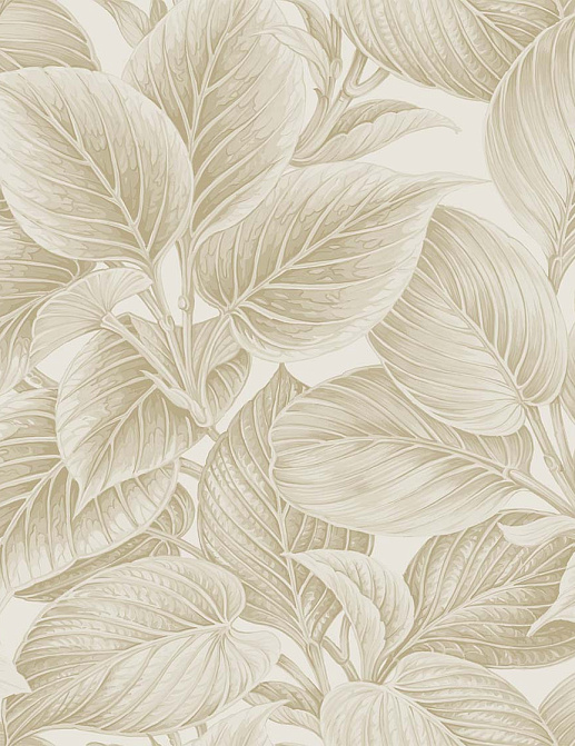 Обои Paper & Ink Shades & White WS70305
