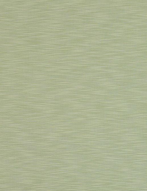 Ткань Manuel Canovas Hansa 04937/13
