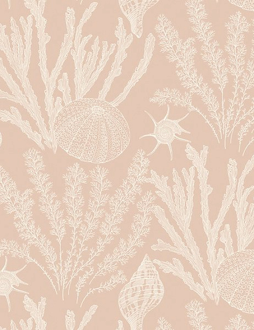 Обои Paper & Ink Coastal Chic CO11818