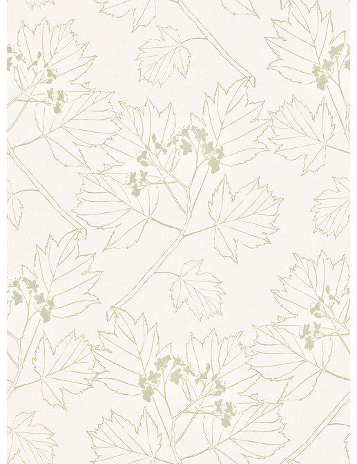 Обои Aquarelle Danehill WP0080301