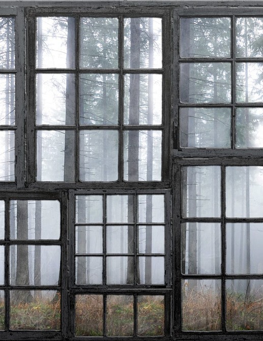 Панно и фотообои Rebel Walls No 9 Home R15341
