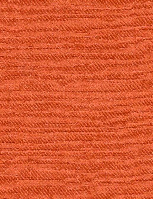 Обои Elitis Toile Peinte Colours and Prints VP40213