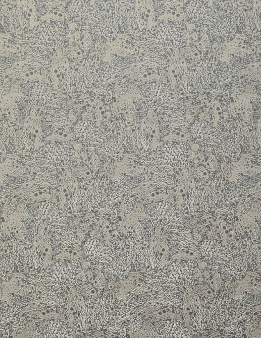 Ткань Ashley Wilde Diffusion Dolomite/Fossil