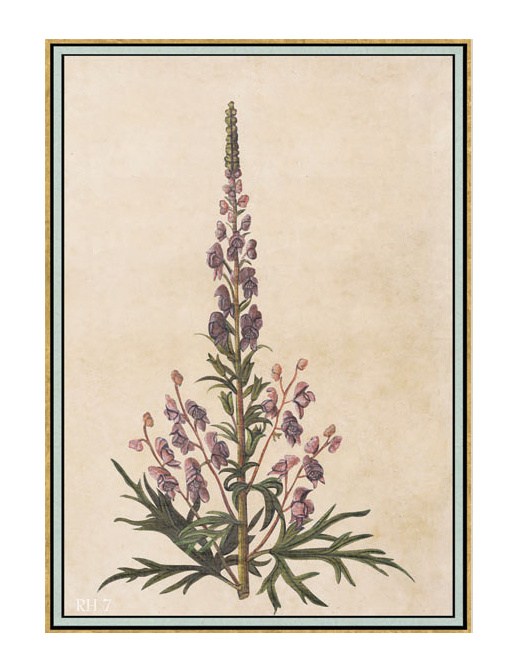 Панно и фотообои Iksel Scenic & Architectural Wallpapers Renaissance Herbier RH7