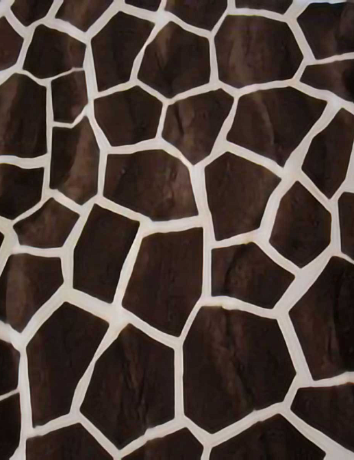 Ткань Today Interiors Wild Brown WF8131