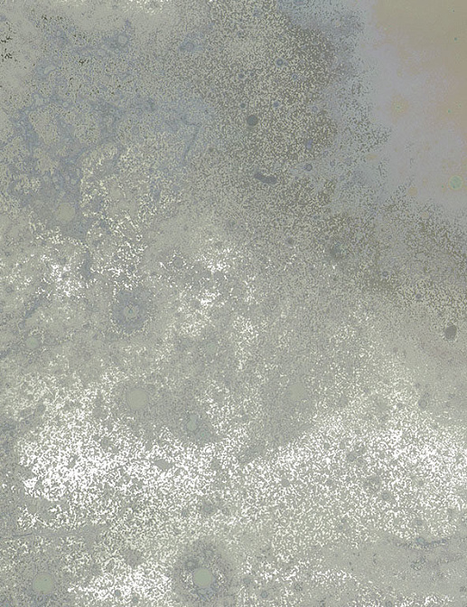 Панно и фотообои Calico Inverted Spaces Ursa