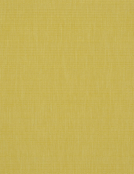 Ткань Designers Guild Iona F1990/03