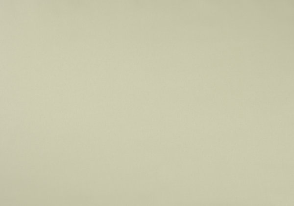 Ткань Designers Guild Santiago F1649/05