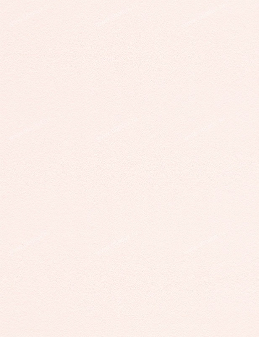 Обои A. S. Creation Esprit 8 304827