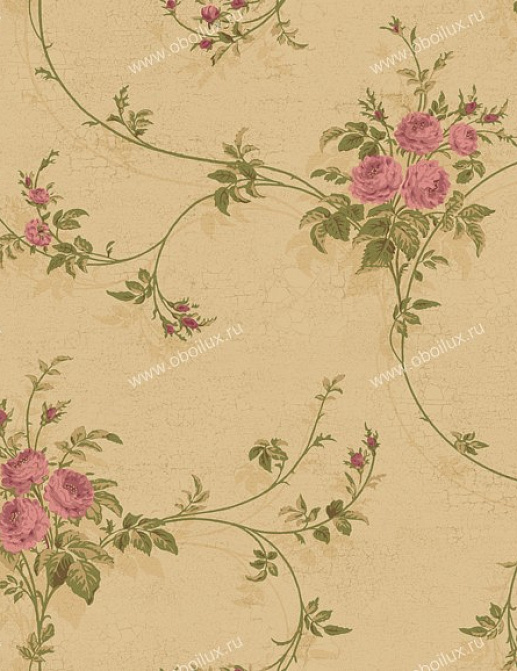 Обои York West Wind Design WW4429