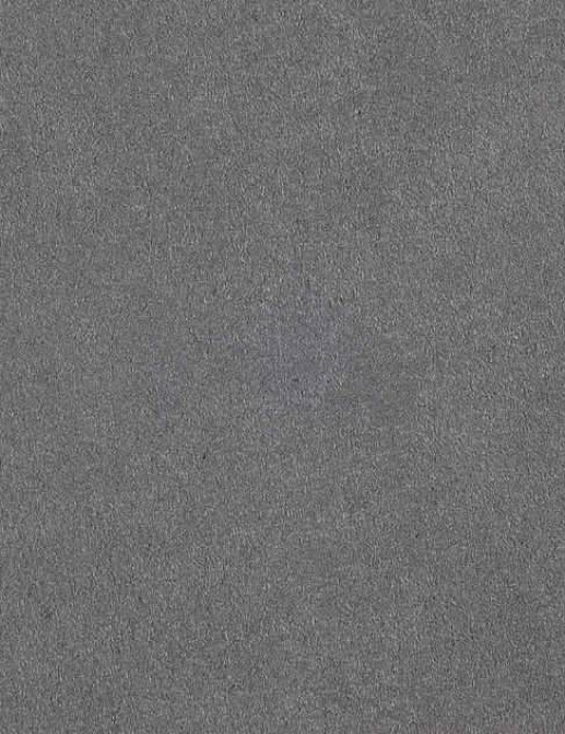 Ткань Pierre Frey Taiga 7700019
