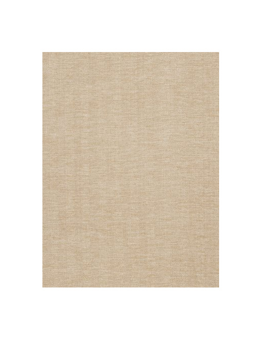 Ткань Fabricut Chromatics Vol.XXII Golden Rocha/Dune