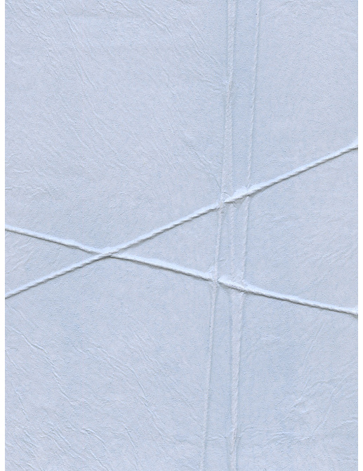 Обои Holland & Sherry Modern Legacy DEWP2235/Lithe Matte Blue