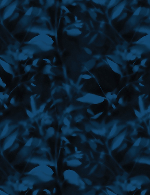Обои Innovations Curated MNF-05