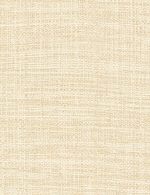 Обои Elitis Madagascar Arrowroot Raw Raffia VP73184