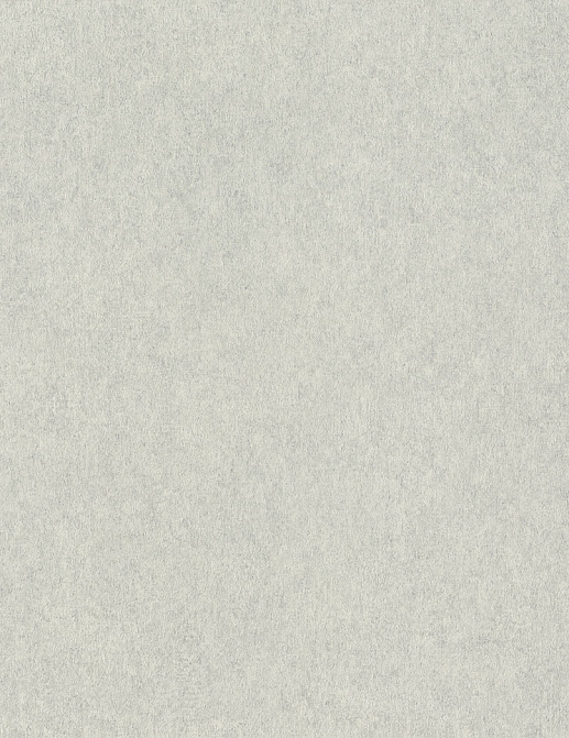 Обои Rasch Wall Textures XL Vol3 957310