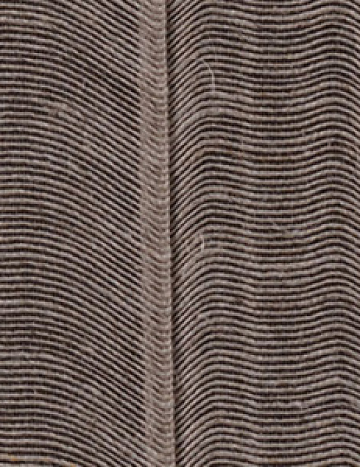 Обои Innovations Collection Antwerp AWP-09 ACHEL