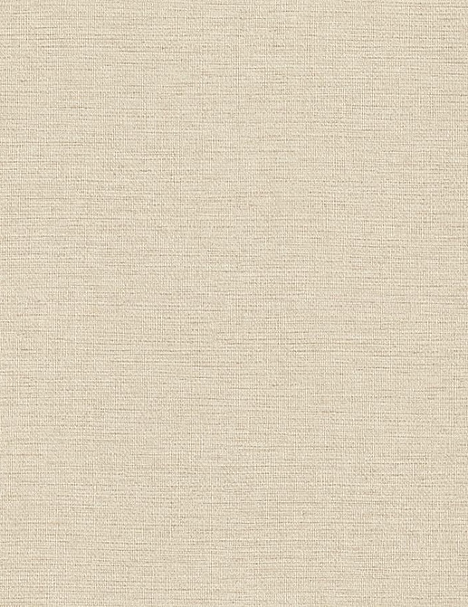 Обои Rasch Настенные структуры. Том 4 / Wall Textures XL Vol. 4 970609