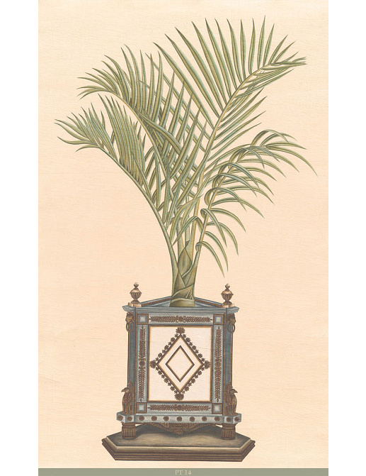Панно и фотообои Iksel Scenic & Architectural Wallpapers Potted Palms PT14