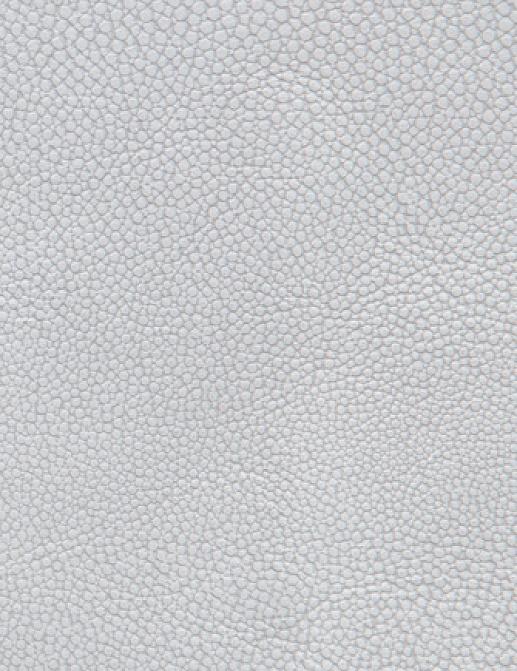 Ткань Holly Hunt Holly Hunt Leather 6000/72