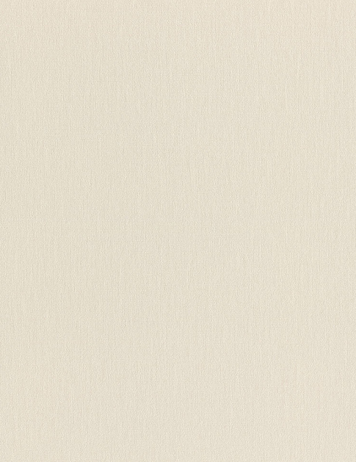 Обои Rasch Wall Textures XL Vol3 979343