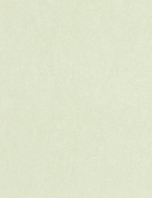 Обои Casadeco Cotton Touch COTO82387340