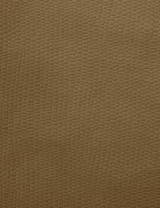 Ткань Ashley Wilde Hugo Hugo/Ochre
