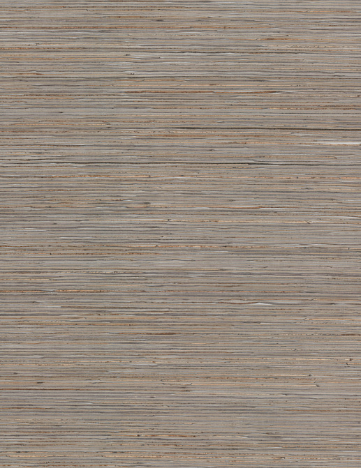 Обои York Natural Discovery (Candice Olson) NT6102