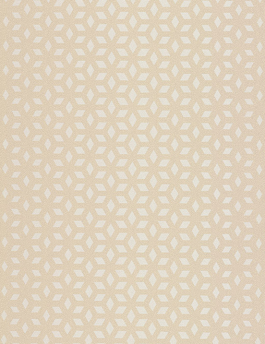 Обои Chelsea Decor Vision DL22849