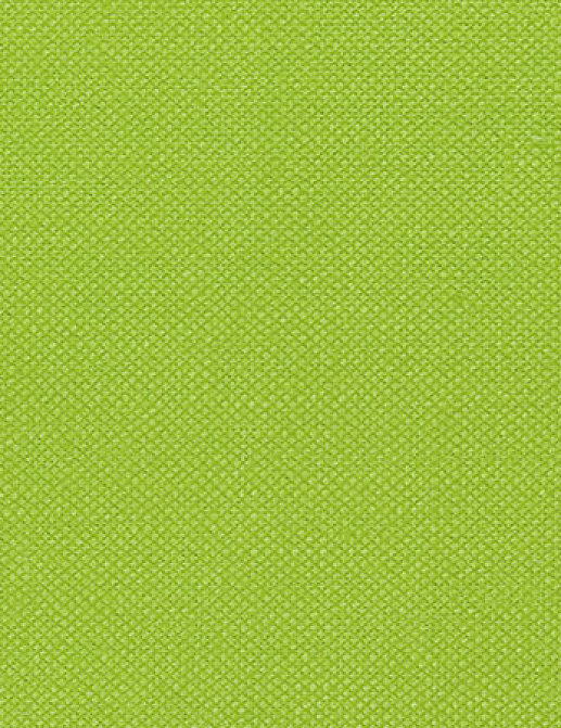Ткань Designers Guild Bassano F1562/48