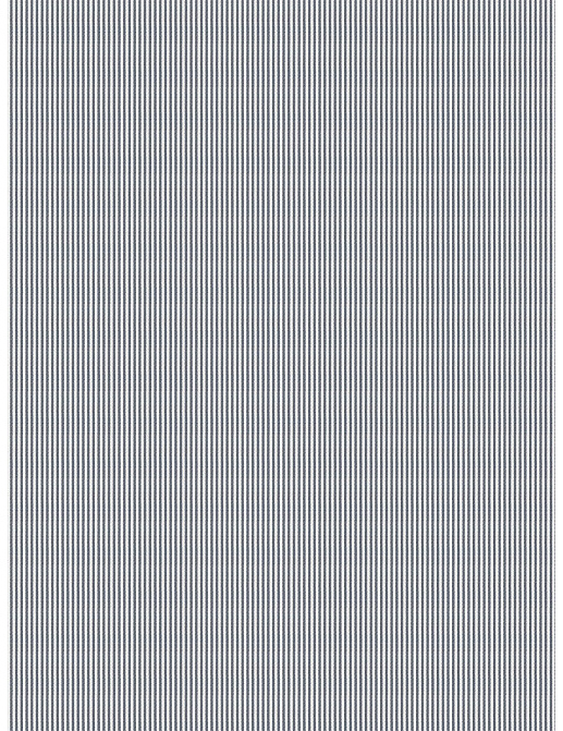 Ткань Fabricut Clean & Classic Indoor/Outdoor Checks & Stripes HikingTicking/Navy
