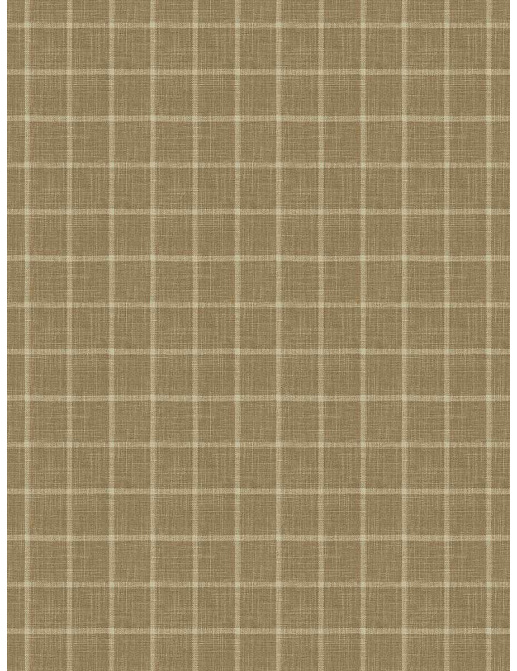 Ткань Fabricut Natural Layers Multipurpose Ratan Broxton/Midas