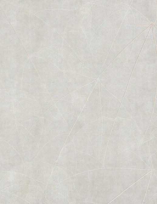 Панно и фотообои Glamora Creative Wallcovering GLNF122A
