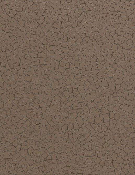 Обои Zoffany Oblique 312836
