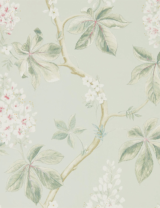 Обои Sanderson Woodland Walk 215710