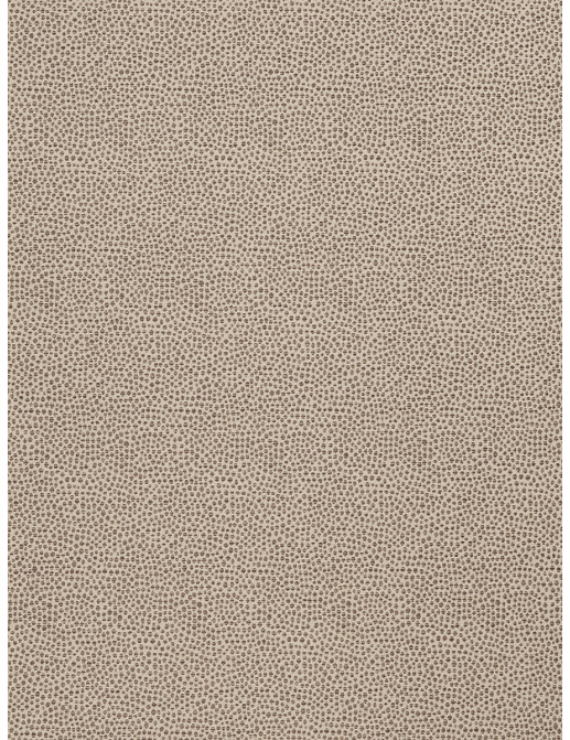 Ткань Fabricut Chromatics Vol.XXIV Truffle Sandbag/Taupe
