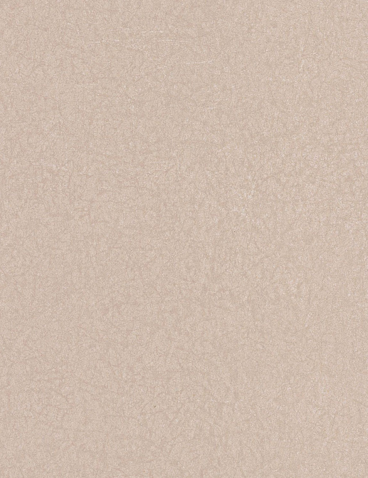 Обои Casadeco Leathers LEAT87151002