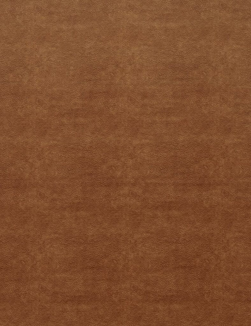 Ткань Ashley Wilde Tahiti Marina/Rust