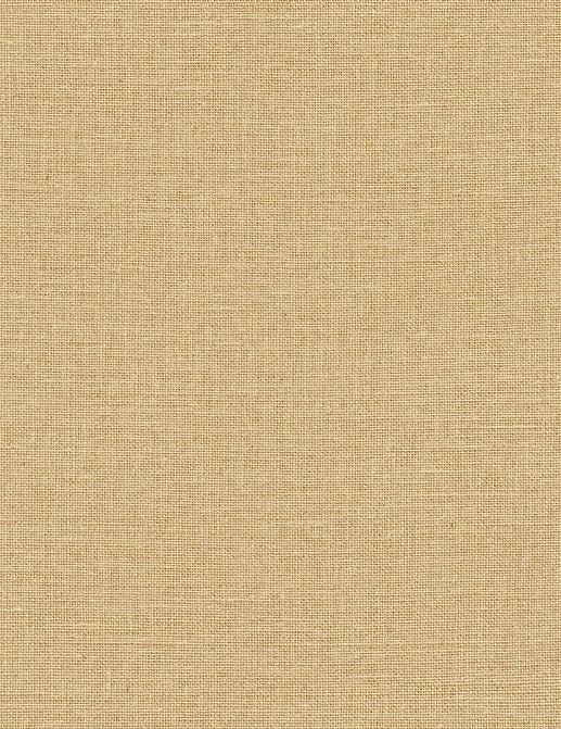 Обои Caselio Mix & Stripes MIP104011299