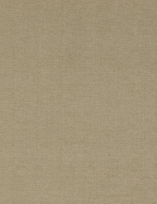 Ткань Colefax and Fowler Colour Library Natural F3731/05
