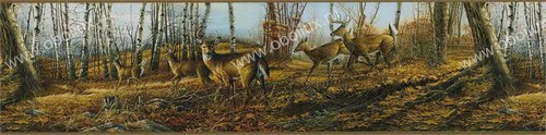 Обои Chesapeake Field Guide FG35611B