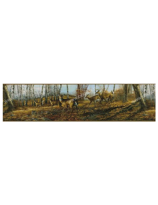 Обои Chesapeake Field Guide FG35611B