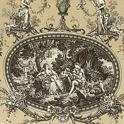 Ткань Thibaut Toile Portfolio F97316